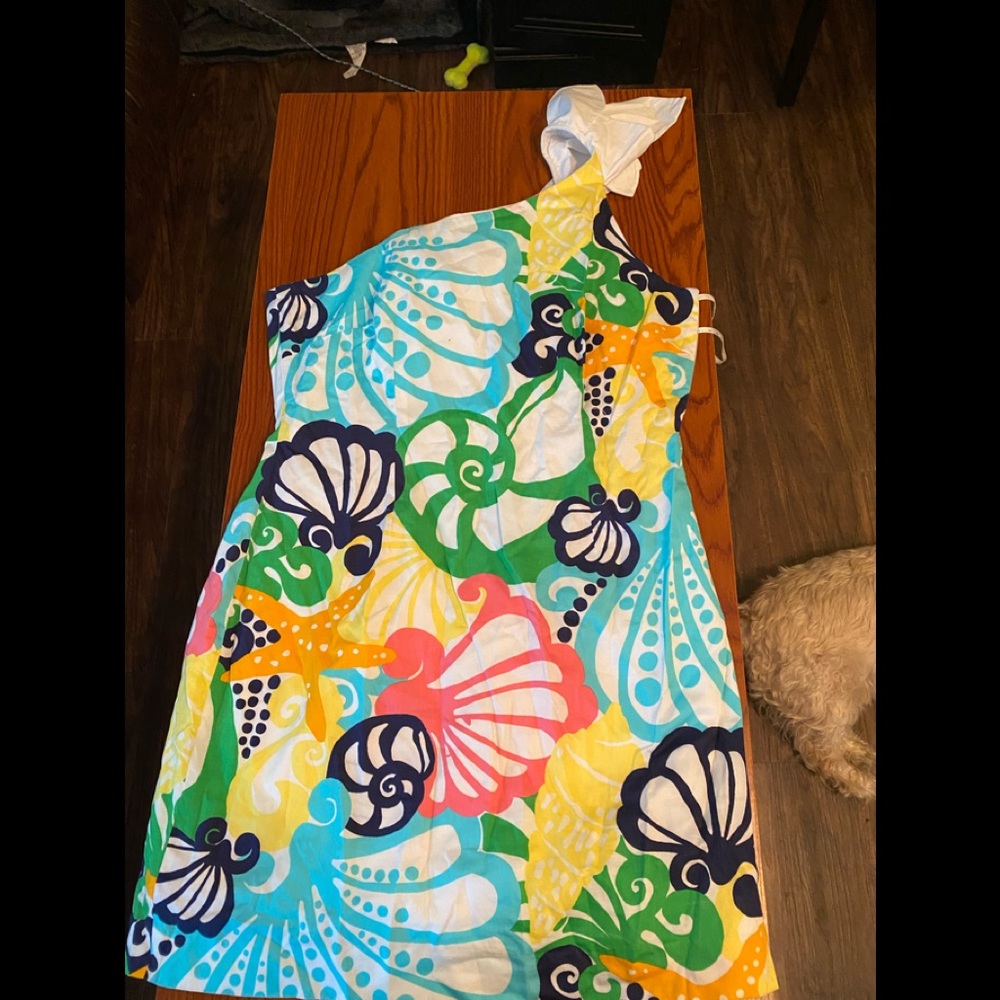 Lilly pulitzer dress